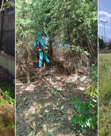 1720767390-265032b4e6