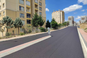 1723452339-c5f69c56dc