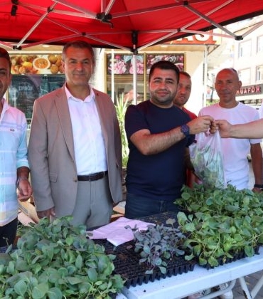 IMG20240817WA0028-740x420