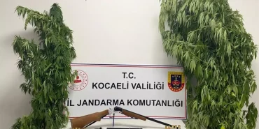 kocaeli-de-35-kok-kenevir-ele-gecirildi-16259049_amp.jpg