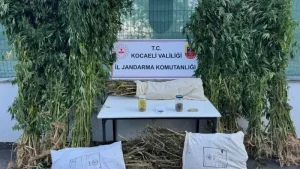 izmitte-uyusturucu-ve-uyarici-madde-operasyonu-buyuk-ele-gecirilen-tutuslar-hjuliv3S.webp