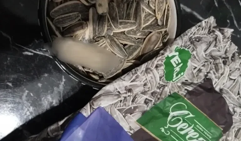 Çerezya Çekirdekte Sigara İzmariti Çıkan Çevrimiçi Şikayet ve Mağduriyet Bildirimi