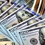 19-mart-sonrasi-doviz-cinsi-fon-64-milyar-dolar-artti-w9mq-cover