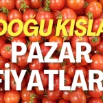 dogu-kisla-pazar-fiyatlari