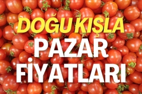 dogu-kisla-pazar-fiyatlari