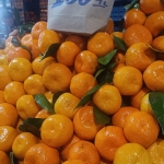 featured-1766066493044