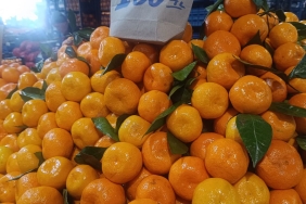 featured-1766066493044