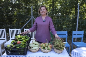 i-zmit-in-bereketli-topraklari-fabrika-gibi-calisti-20260114-033125