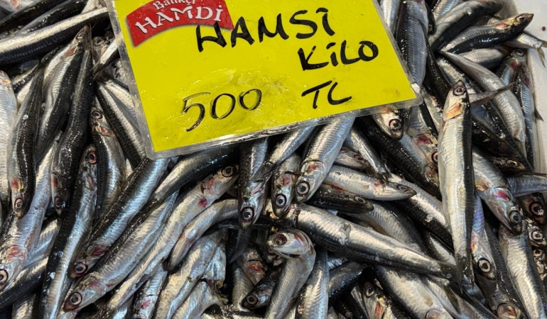 Kocaeli’de balık fiyatları el yakıyor: Tezgahlar durgun