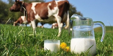 veteriner-hekimlerden-sut-fiyatina-tepki-20260109-180222