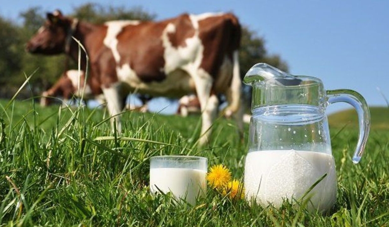 Veterinerlerden süt fiyatı tepkisi: Tavsiye 22,22 TL