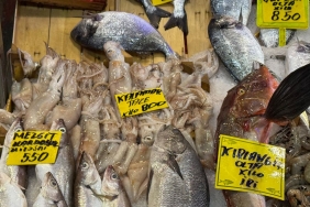 firtina-tezg-hlari-da-vurdu-20260216-035901