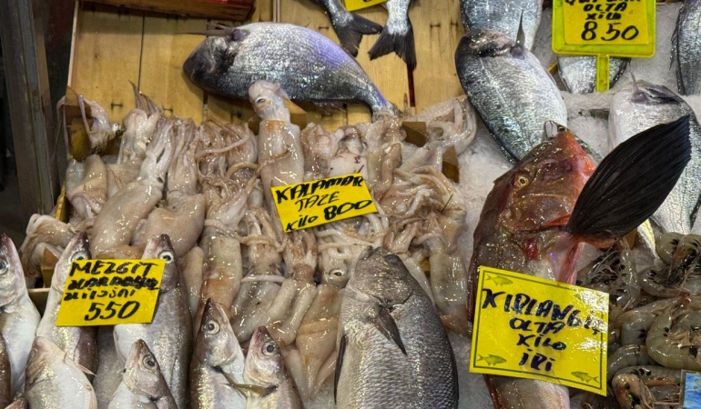 firtina-tezg-hlari-da-vurdu-20260216-035901